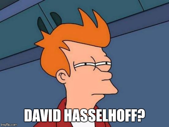 Futurama Fry Meme | DAVID HASSELHOFF? | image tagged in memes,futurama fry | made w/ Imgflip meme maker