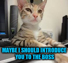 MAYBE I SHOULD INTRODUCE YOU TO THE BOSS | made w/ Imgflip meme maker