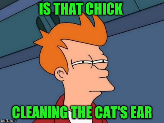 Futurama Fry Meme | IS THAT CHICK CLEANING THE CAT'S EAR | image tagged in memes,futurama fry | made w/ Imgflip meme maker