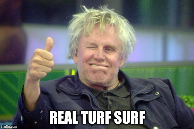 REAL TURF SURF | made w/ Imgflip meme maker