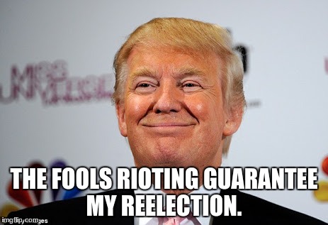 Donald trump approves | THE FOOLS RIOTING GUARANTEE MY REELECTION. | image tagged in donald trump approves | made w/ Imgflip meme maker