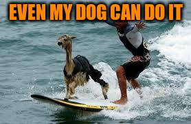 EVEN MY DOG CAN DO IT | made w/ Imgflip meme maker