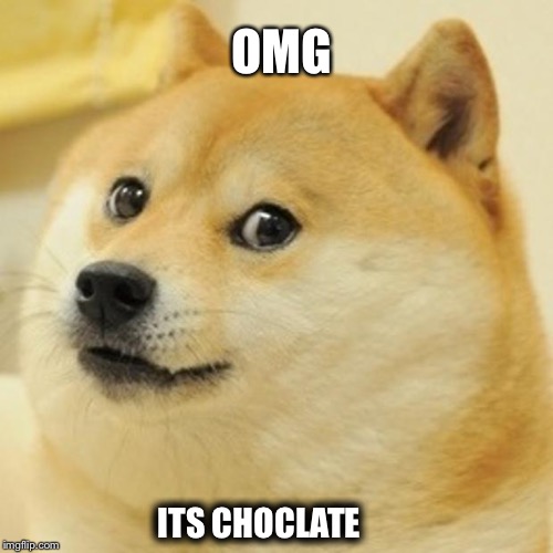 Doge | OMG; ITS CHOCLATE | image tagged in memes,doge | made w/ Imgflip meme maker