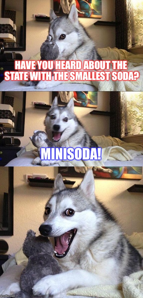 Bad Pun Dog | HAVE YOU HEARD ABOUT THE STATE WITH THE SMALLEST SODA? MINISODA! | image tagged in memes,bad pun dog | made w/ Imgflip meme maker