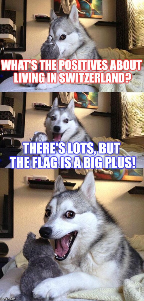 Bad Pun Dog Meme | WHAT'S THE POSITIVES ABOUT LIVING IN SWITZERLAND? THERE'S LOTS, BUT THE FLAG IS A BIG PLUS! | image tagged in memes,bad pun dog | made w/ Imgflip meme maker