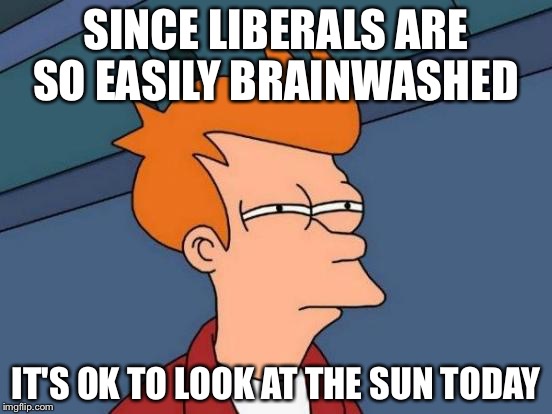 Futurama Fry | SINCE LIBERALS ARE SO EASILY BRAINWASHED; IT'S OK TO LOOK AT THE SUN TODAY | image tagged in memes,futurama fry | made w/ Imgflip meme maker