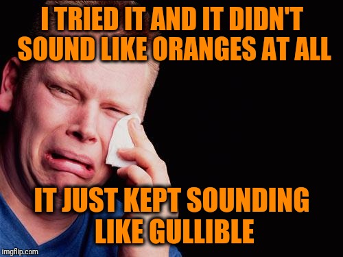 cry | I TRIED IT AND IT DIDN'T SOUND LIKE ORANGES AT ALL IT JUST KEPT SOUNDING LIKE GULLIBLE | image tagged in cry | made w/ Imgflip meme maker