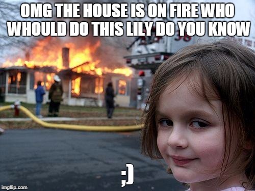Disaster Girl | OMG THE HOUSE IS ON FIRE WHO WHOULD DO THIS LILY DO YOU KNOW; ;) | image tagged in memes,disaster girl | made w/ Imgflip meme maker