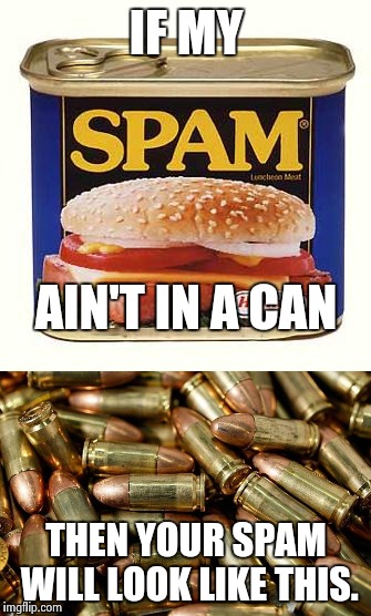 Gangsta Spam | IF MY; AIN'T IN A CAN; THEN YOUR SPAM WILL LOOK LIKE THIS. | image tagged in spam,funny,gangsta rap made me do it,nsfw,computer suicide,shooting | made w/ Imgflip meme maker