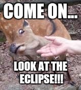 Eclipse | COME ON... LOOK AT THE ECLIPSE!!! | image tagged in solar eclipse | made w/ Imgflip meme maker
