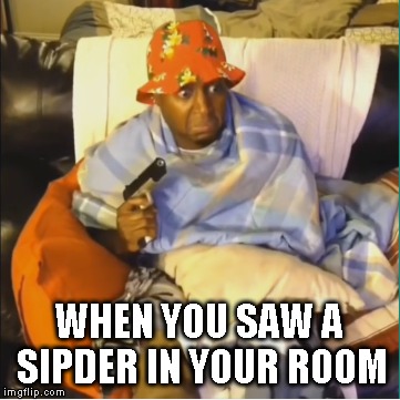 When you saw a spider in your room | WHEN YOU SAW A SIPDER IN YOUR ROOM | image tagged in memes,first world problems | made w/ Imgflip meme maker
