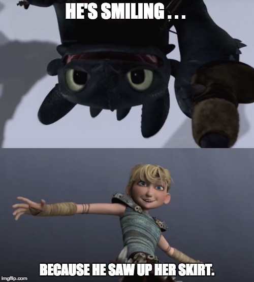 HE'S SMILING . . . BECAUSE HE SAW UP HER SKIRT. | image tagged in how to train your dragon,toothless,astrid | made w/ Imgflip meme maker