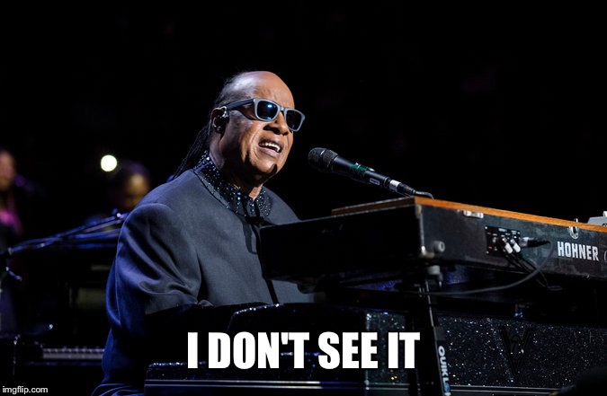 I DON'T SEE IT | image tagged in stevie wonder | made w/ Imgflip meme maker