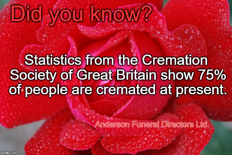 Did you know? | Did you know? Statistics from the Cremation Society of Great Britain show 75% of people are cremated at present. Anderson Funeral Directors Ltd. | image tagged in funeral | made w/ Imgflip meme maker