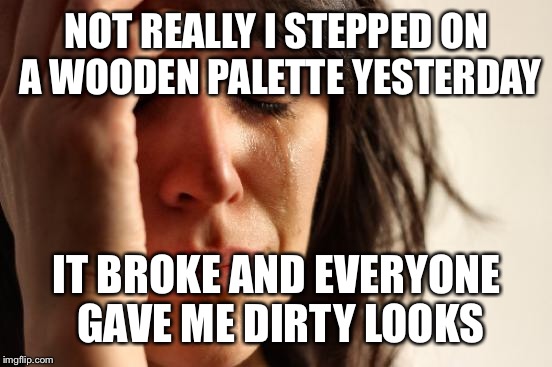 First World Problems Meme | NOT REALLY I STEPPED ON A WOODEN PALETTE YESTERDAY IT BROKE AND EVERYONE GAVE ME DIRTY LOOKS | image tagged in memes,first world problems | made w/ Imgflip meme maker