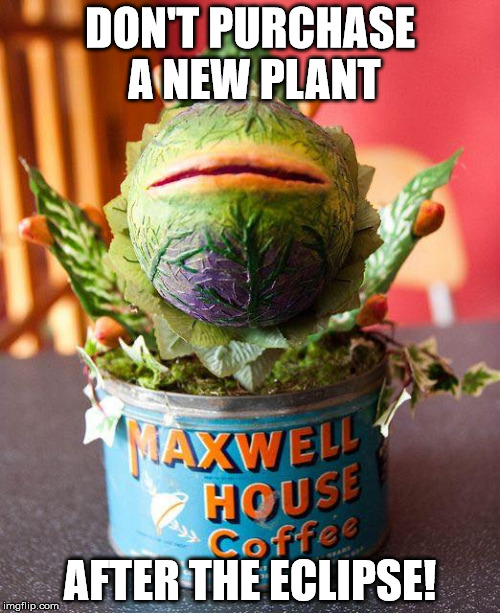Feed Me, Seymour! | DON'T PURCHASE A NEW PLANT; AFTER THE ECLIPSE! | image tagged in solar eclipse,eclipse | made w/ Imgflip meme maker
