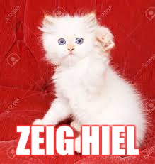 Nazi Kitty | ZEIG HIEL | image tagged in nazi kitty | made w/ Imgflip meme maker