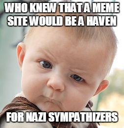 Skeptical Baby | WHO KNEW THAT A MEME SITE WOULD BE A HAVEN; FOR NAZI SYMPATHIZERS | image tagged in memes,skeptical baby | made w/ Imgflip meme maker