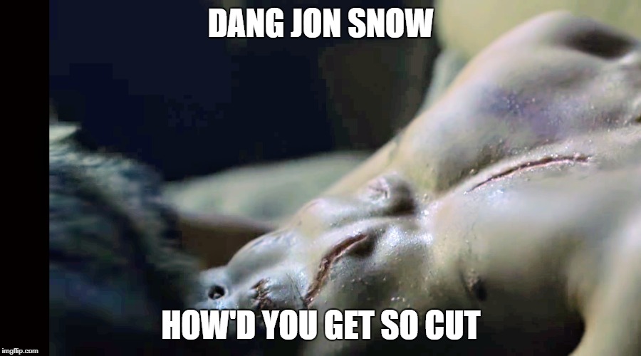 DANG JON SNOW; HOW'D YOU GET SO CUT | image tagged in game of thrones | made w/ Imgflip meme maker