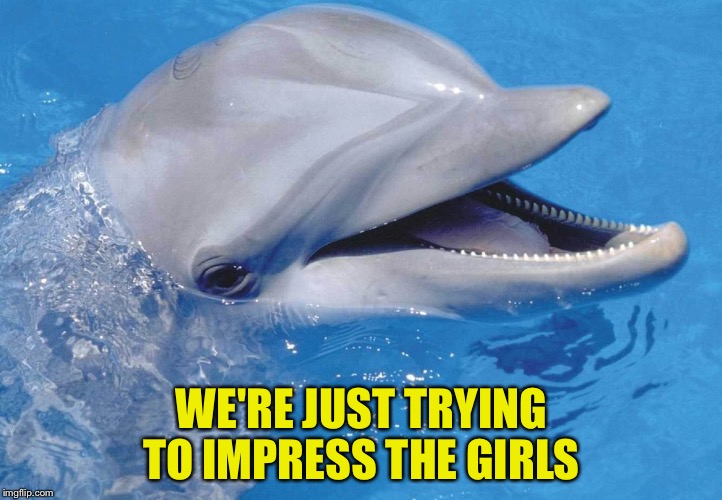 WE'RE JUST TRYING TO IMPRESS THE GIRLS | made w/ Imgflip meme maker