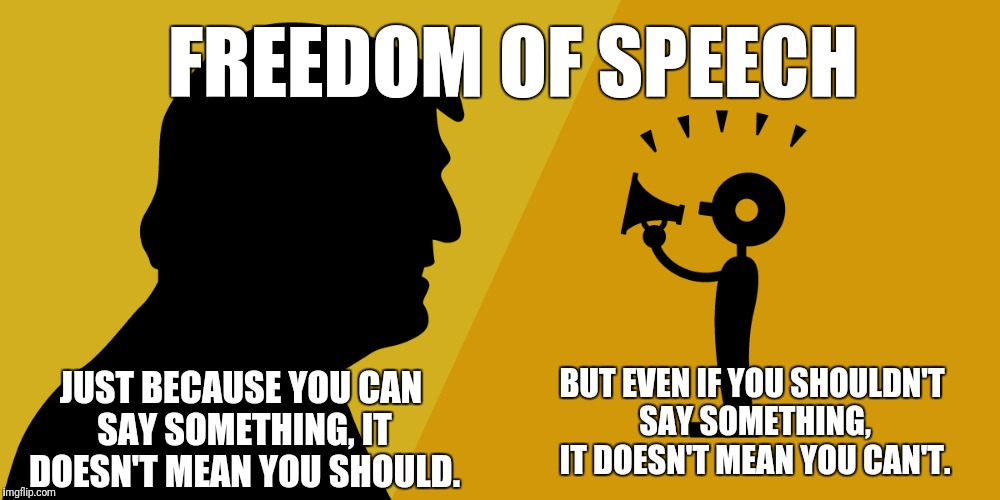 Freedom of Speech | FREEDOM OF SPEECH; JUST BECAUSE YOU CAN SAY SOMETHING, IT DOESN'T MEAN YOU SHOULD. BUT EVEN IF YOU SHOULDN'T SAY SOMETHING, IT DOESN'T MEAN YOU CAN'T. | image tagged in free speech | made w/ Imgflip meme maker