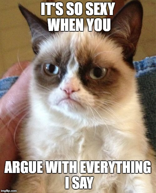 What a turn-on! | IT'S SO SEXY WHEN YOU; ARGUE WITH EVERYTHING I SAY | image tagged in memes,grumpy cat | made w/ Imgflip meme maker