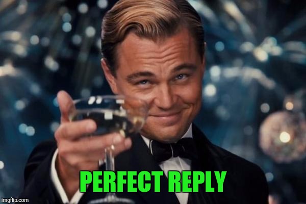 Leonardo Dicaprio Cheers Meme | PERFECT REPLY | image tagged in memes,leonardo dicaprio cheers | made w/ Imgflip meme maker