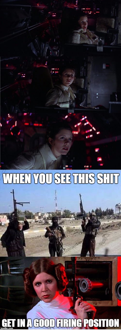 WHEN YOU SEE THIS SHIT; GET IN A GOOD FIRING POSITION | image tagged in star wars,princess leia,radical islam,deal with it like a boss | made w/ Imgflip meme maker