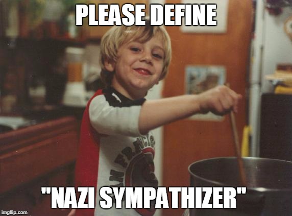 stirring the pot | PLEASE DEFINE "NAZI SYMPATHIZER" | image tagged in stirring the pot | made w/ Imgflip meme maker