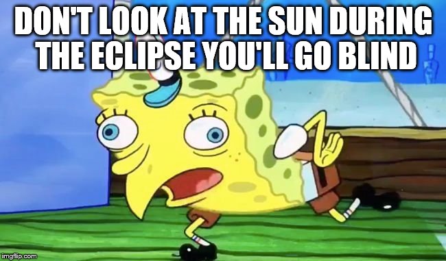 DON'T LOOK AT THE SUN DURING THE ECLIPSE YOU'LL GO BLIND | image tagged in solareclipse | made w/ Imgflip meme maker
