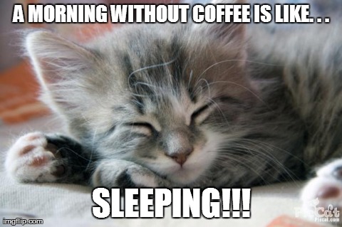 image tagged in kittens,cats,coffee | made w/ Imgflip meme maker