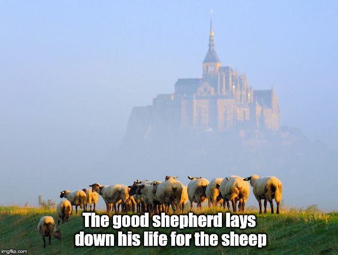 good shepherd | The good shepherd lays down his life for the sheep | image tagged in good shepherd | made w/ Imgflip meme maker