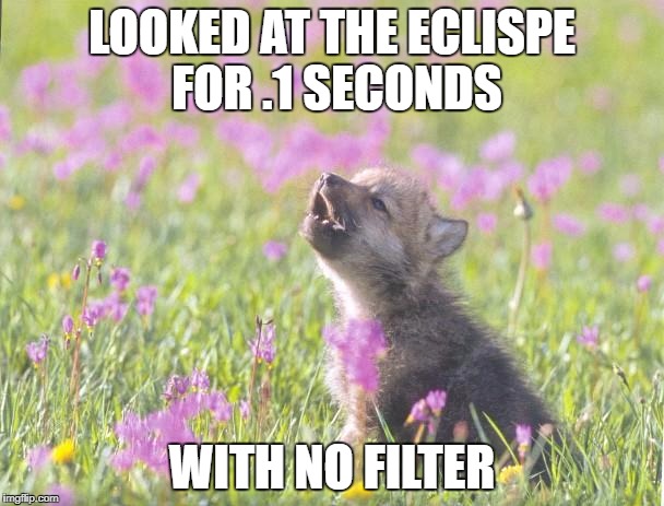Baby Insanity Wolf | LOOKED AT THE ECLISPE FOR .1 SECONDS; WITH NO FILTER | image tagged in memes,baby insanity wolf | made w/ Imgflip meme maker