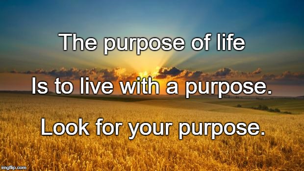 nature | The purpose of life; Is to live with a purpose. Look for your purpose. | image tagged in nature | made w/ Imgflip meme maker