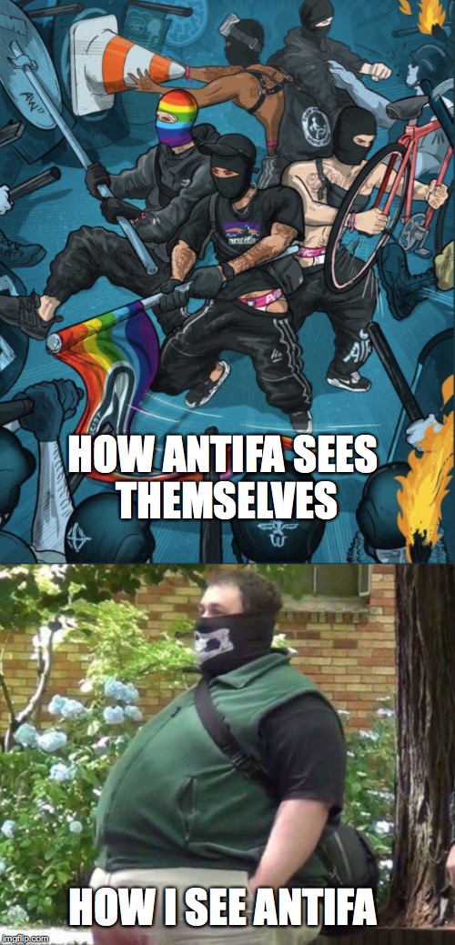 How Antifa sees themselves vs how I see Antifa | HOW ANTIFA SEES THEMSELVES; HOW I SEE ANTIFA | image tagged in trump,antifa,one does not simply,awkward moment sealion,captain picard facepalm | made w/ Imgflip meme maker