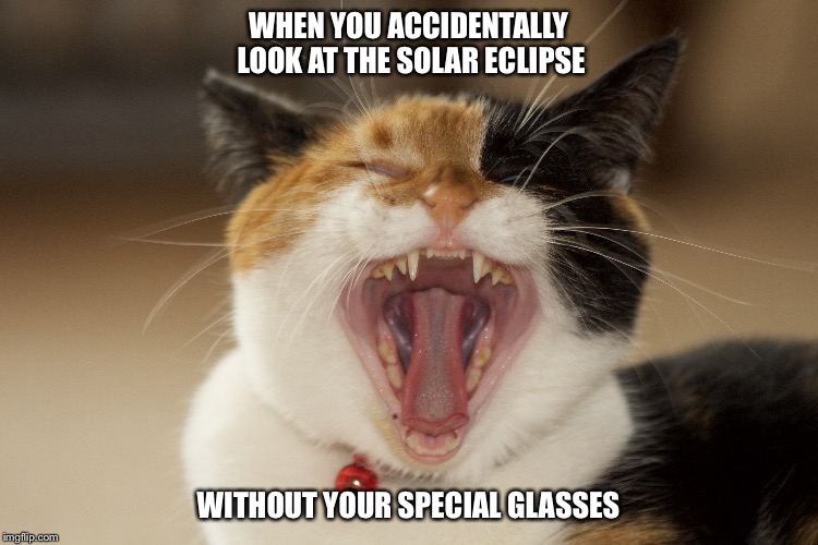 WHEN YOU ACCIDENTALLY LOOK AT THE SOLAR ECLIPSE; WITHOUT YOUR SPECIAL GLASSES | image tagged in solar eclipse | made w/ Imgflip meme maker