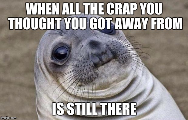 Awkward Moment Sealion Meme | WHEN ALL THE CRAP YOU THOUGHT YOU GOT AWAY FROM IS STILL THERE | image tagged in memes,awkward moment sealion | made w/ Imgflip meme maker