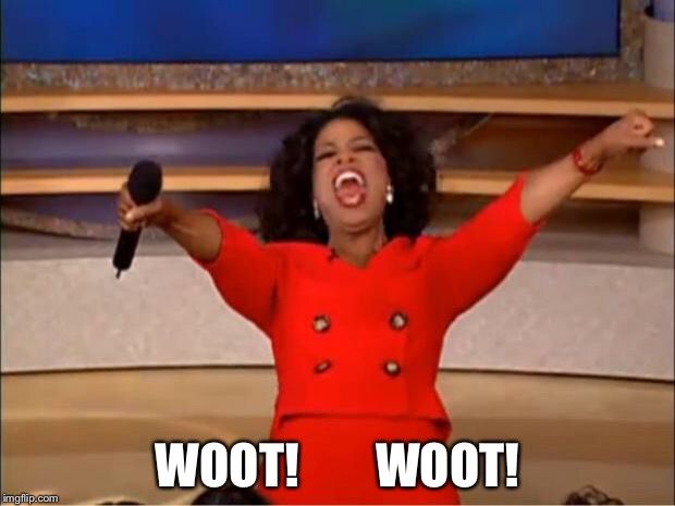 Oprah You Get A Meme | WOOT!        WOOT! | image tagged in memes,oprah you get a | made w/ Imgflip meme maker