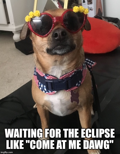 Coco | WAITING FOR THE ECLIPSE LIKE "COME AT ME DAWG" | image tagged in coco | made w/ Imgflip meme maker