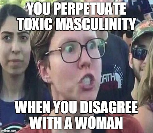 YOU PERPETUATE TOXIC MASCULINITY WHEN YOU DISAGREE WITH A WOMAN | made w/ Imgflip meme maker