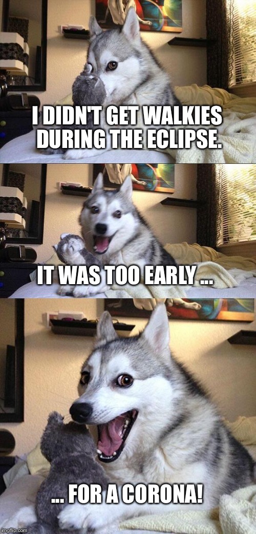 Bad Pun Dog Meme | I DIDN'T GET WALKIES DURING THE ECLIPSE. IT WAS TOO EARLY ... ... FOR A CORONA! | image tagged in memes,bad pun dog | made w/ Imgflip meme maker