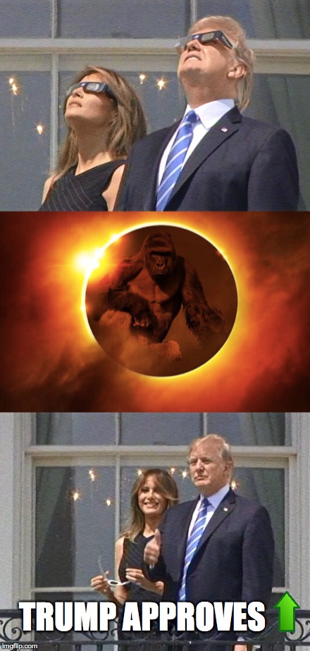 Trump Sees the light | TRUMP APPROVES | image tagged in harambe,donald trump,upvote,one does not simply,the most interesting man in the world | made w/ Imgflip meme maker