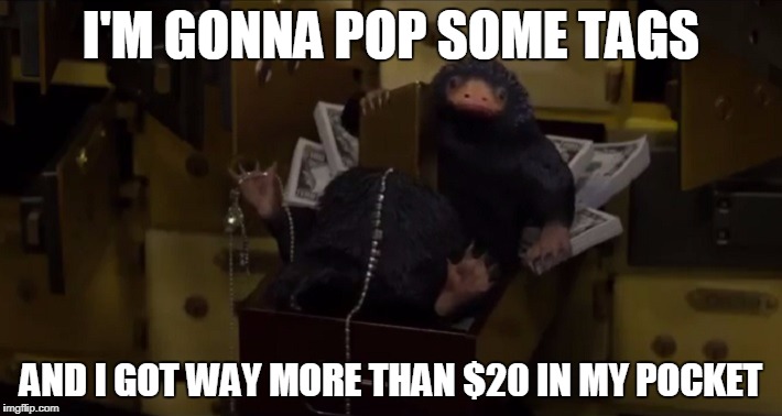 It's The Niffler's Thrift Shop Now | I'M GONNA POP SOME TAGS; AND I GOT WAY MORE THAN $20 IN MY POCKET | image tagged in niffler | made w/ Imgflip meme maker