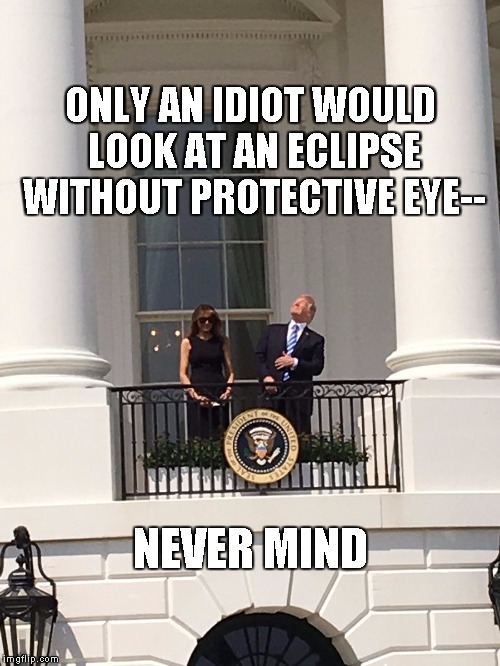 ONLY AN IDIOT WOULD LOOK AT AN ECLIPSE WITHOUT PROTECTIVE EYE--; NEVER MIND | image tagged in trump | made w/ Imgflip meme maker