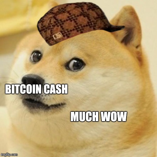 Doge Meme | BITCOIN CASH; MUCH WOW | image tagged in memes,doge,scumbag | made w/ Imgflip meme maker