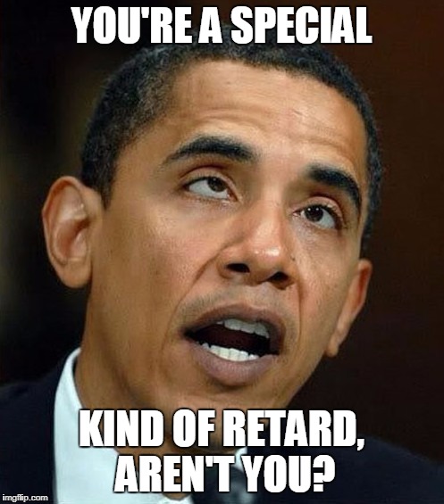 partisanship | YOU'RE A SPECIAL KIND OF RETARD, AREN'T YOU? | image tagged in partisanship | made w/ Imgflip meme maker