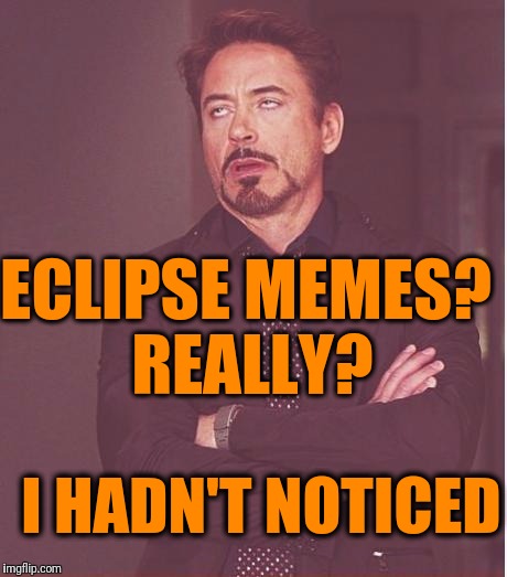 Face You Make Robert Downey Jr Meme | ECLIPSE MEMES? REALLY? I HADN'T NOTICED | image tagged in memes,face you make robert downey jr | made w/ Imgflip meme maker