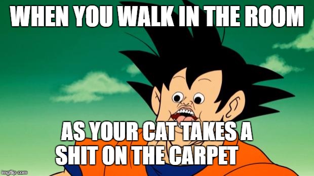 Derpy Interest Goku | WHEN YOU WALK IN THE ROOM; AS YOUR CAT TAKES A SHIT ON THE CARPET | image tagged in derpy interest goku | made w/ Imgflip meme maker