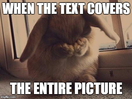 Frustrated Bunny | WHEN THE TEXT COVERS; THE ENTIRE PICTURE | image tagged in frustrated bunny | made w/ Imgflip meme maker
