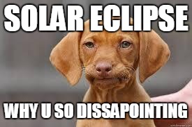 Disappointed Dog | SOLAR ECLIPSE; WHY U SO DISSAPOINTING | image tagged in disappointed dog | made w/ Imgflip meme maker